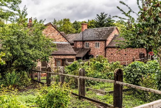 Brick houses behind a garden boundary fence, the kind of shared boundary Croydon neighbours have to agree work across