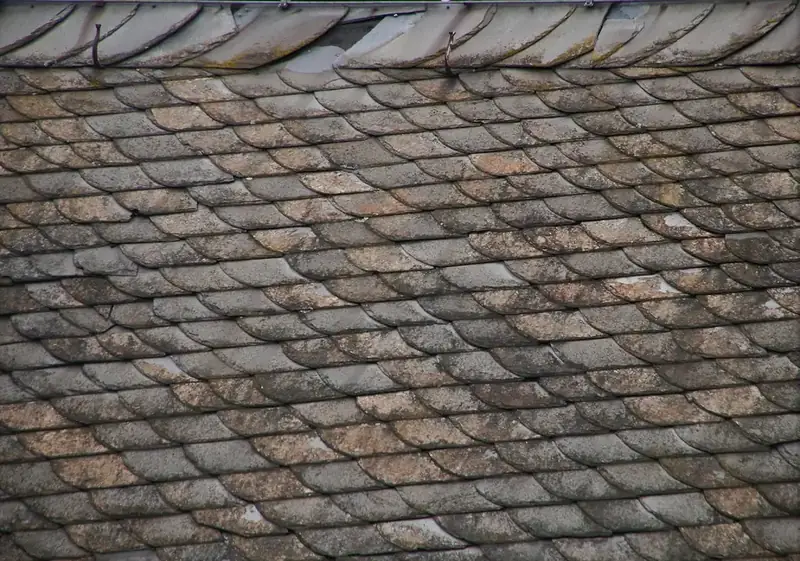 Worn slate roof stained with lichen, its courses uneven and several slates chipped