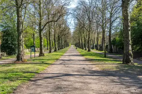 Straight tree-lined path through a long narrow park, much like a disused railway line turned into a walk